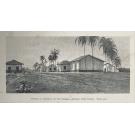 LAERNE, C. F. van Delden. - LE BRAZIL ET JAVA. Report On Coffee-culture In America, Asia And Africa, To H.E. The Minister Of The Colonies. 