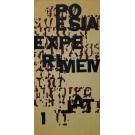 POESIA EXPERIMENTAL. Caderno Antológico.  Nº 1 (e 2). 