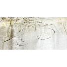 MANUSCRITO. D. MANUEL. 1501