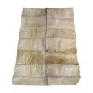 MANUSCRITO. D. MANUEL. 1501