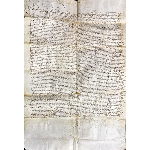 MANUSCRITO. D. MANUEL. 1501