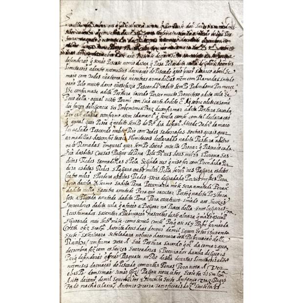MANUSCRITO. POSTURA DA CAMARA DE GOES. PESCA. 1551