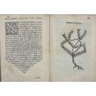 ACOSTA, Cristobal. - TRATTATO DI CHRISTOFORO ACOSTA AFRICANO. Medico, & chirurgo della historia, natura, et virtu delle droghe medicinali, & altri semplici rarissimi, che vengono portati dalle Indie orientali in Europa, con le figure delle piante ritratte, & disegnate dal viuo poste à luoghi proprij.