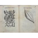ACOSTA, Cristobal. - TRATTATO DI CHRISTOFORO ACOSTA AFRICANO. Medico, & chirurgo della historia, natura, et virtu delle droghe medicinali, & altri semplici rarissimi, che vengono portati dalle Indie orientali in Europa, con le figure delle piante ritratte, & disegnate dal viuo poste à luoghi proprij.
