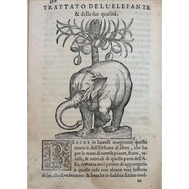ACOSTA, Cristobal. - TRATTATO DI CHRISTOFORO ACOSTA AFRICANO. Medico, & chirurgo della historia, natura, et virtu delle droghe medicinali, & altri semplici rarissimi, che vengono portati dalle Indie orientali in Europa, con le figure delle piante ritratte, & disegnate dal viuo poste à luoghi proprij.