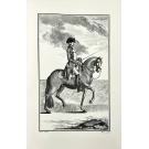ANDRADE DE, Manoel Carlos de. - LUZ DA LIBERAL, E NOBRE ARTE DA CAVALARIA, offerecida ao senhor D. João Principe do Brazil, por…