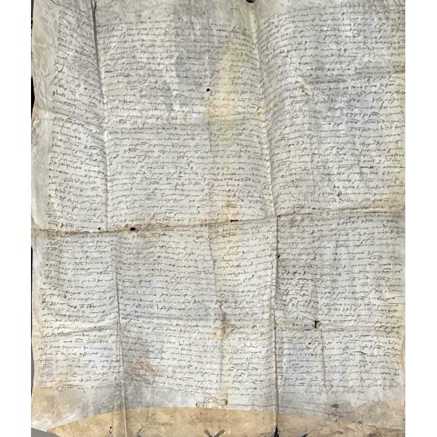 MANUSCRITO. D. MANUEL. CARTA DE SENTENÇA. Valverde dos Cavaleiros. (Pinhel). 1501.