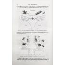 ANDRÉ Édouard. - L'ART DES JARDINS. Traité général de la composition des parcs et jardins. Ouvrage accompagné de planches en chromolithographie et de 520 figures dans le texte. 