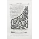 ANDRÉ Édouard. - L'ART DES JARDINS. Traité général de la composition des parcs et jardins. Ouvrage accompagné de planches en chromolithographie et de 520 figures dans le texte. 