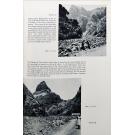 BANNERMAN, David Armitage. - HISTORY OF THE BIRDS OF THE CAPE VERDE ISLANDS. Volume four. 