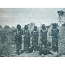 JÚNIOR, José Ribeiro da Costa. - PELA NOSSA AFRICA. Narrativa de factos reais, recreativos e instrutivos, referentes às colónias portuguesas do atlântico.