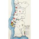 VALENTE, Vasco. - O VIDRO EM PORTUGAL. 