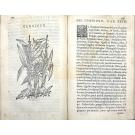ACOSTA, Cristobal. - TRATTATO DI CHRISTOFORO ACOSTA AFRICANO. Medico, & chirurgo della historia, natura, et virtu delle droghe medicinali, & altri semplici rarissimi, che vengono portati dalle Indie orientali in Europa, con le figure delle piante ritratte, & disegnate dal viuo poste à luoghi proprij. 