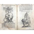 ACOSTA, Cristobal. - TRATTATO DI CHRISTOFORO ACOSTA AFRICANO. Medico, & chirurgo della historia, natura, et virtu delle droghe medicinali, & altri semplici rarissimi, che vengono portati dalle Indie orientali in Europa, con le figure delle piante ritratte, & disegnate dal viuo poste à luoghi proprij. 