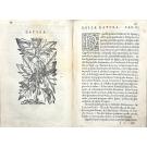 ACOSTA, Cristobal. - TRATTATO DI CHRISTOFORO ACOSTA AFRICANO. Medico, & chirurgo della historia, natura, et virtu delle droghe medicinali, & altri semplici rarissimi, che vengono portati dalle Indie orientali in Europa, con le figure delle piante ritratte, & disegnate dal viuo poste à luoghi proprij. 
