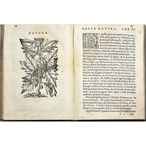 ACOSTA, Cristobal. - TRATTATO DI CHRISTOFORO ACOSTA AFRICANO. Medico, & chirurgo della historia, natura, et virtu delle droghe medicinali, & altri semplici rarissimi, che vengono portati dalle Indie orientali in Europa, con le figure delle piante ritratte, & disegnate dal viuo poste à luoghi proprij. 