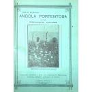 ANGOLA PORTENTOSA. Publicação avulsa destinada à defesa dos interesses da agricultura, comércio, indústria e pecuária da colónia. Por Henrique Valdez. Nº 1 (ao 11).