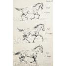 FILLIS, James. - PRINCIPES DE DRESSAGE ET D'ÉQUITATION. 