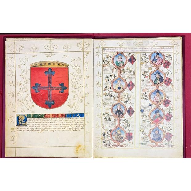 GENEALOGIA DO III CONDE DA FEIRA. C F. 202 do Arquivo Nacional da Torre do Tomo. 