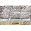 Manuscrito. BULA. PAPA ALEXANDRE VII. 1657