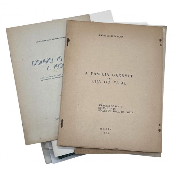 Separatas. GENEALOGIA E HERÁLDICA. 31 vols.